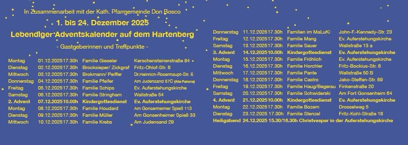 WhatsApp Image 2025 11 10 at 09.48.56